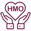 traditional-health-insurance-hmo-icon